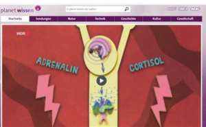 planet wissen Stress Zeichnung mit Adrenalin und Cortisol